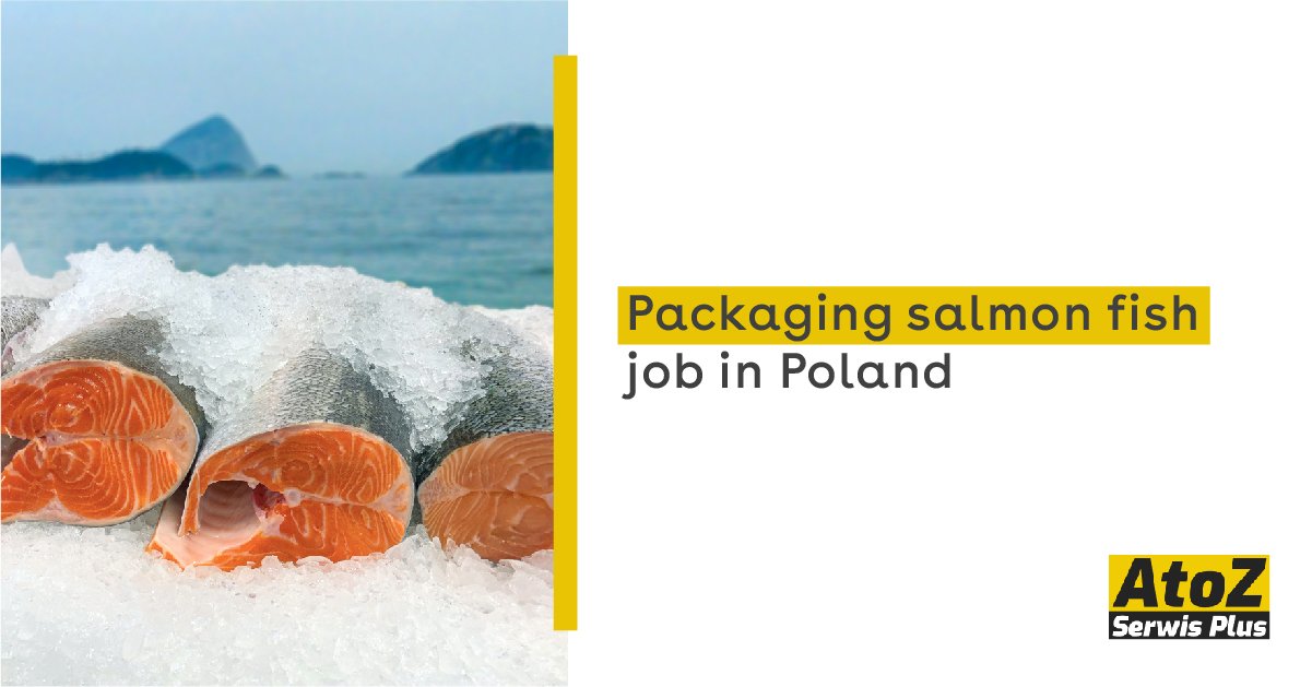 packaging-salmon-fish-job-in-poland