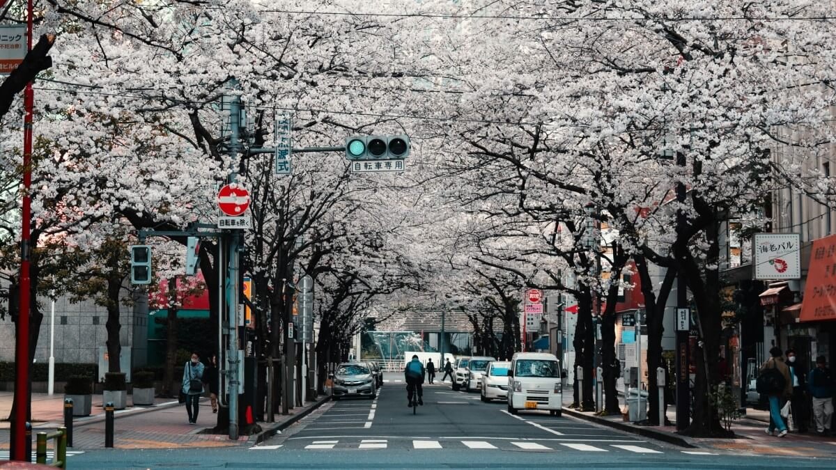 eu-pressures-japan-to-remove-covid-entry-ban-on-european-tourists