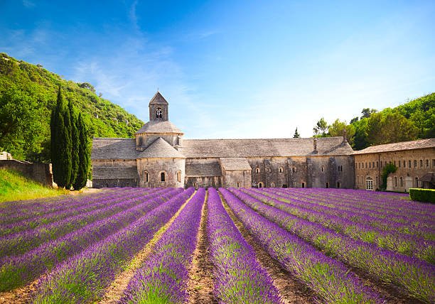 france-temporarily-bans-all-flights-to-and-from-brazil-due-to-covid-19-variant-spread france-temporarily-bans-all-flights-to-and-from-brazil-due-to-covid-19-variant-spread