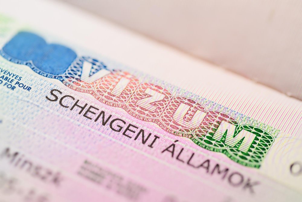 germany-granted-over-60-of-family-reunification-visas-to-children-in-2024.jpg