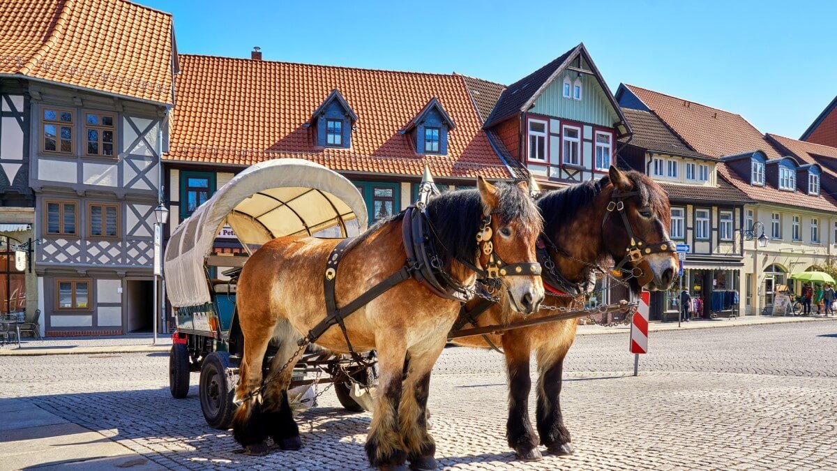 more-than-6-million-tourists-expected-to-attend-oktoberfest-2022-in-germany more-than-6-million-tourists-expected-to-attend-oktoberfest-2022-in-germany