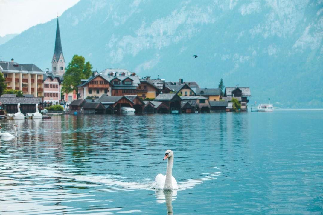 switzerland-eager-to-welcome-back-chinese-tourists switzerland-eager-to-welcome-back-chinese-tourists