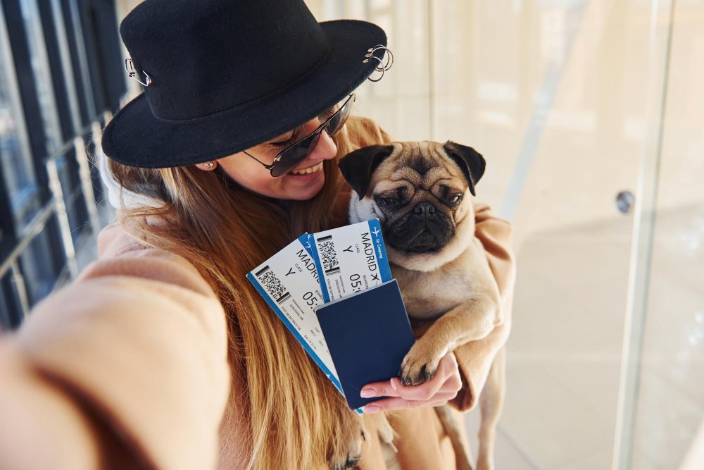 uk-seeks-return-to-eu-pet-passport-scheme-to-simplify-travel-for-pet-owners.jpg